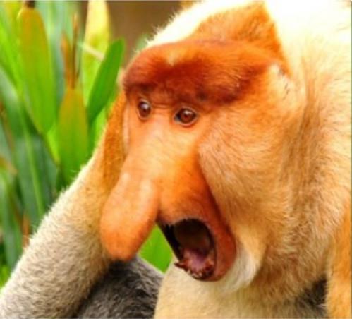 셀럽 후원 플랫폼 (2023) | 프로마음전달러 팬심!