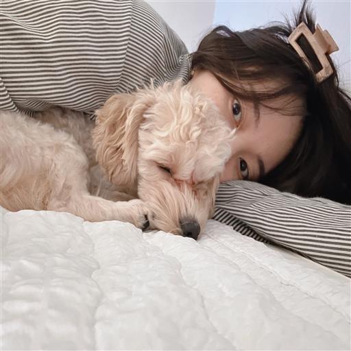 프로필 이미지